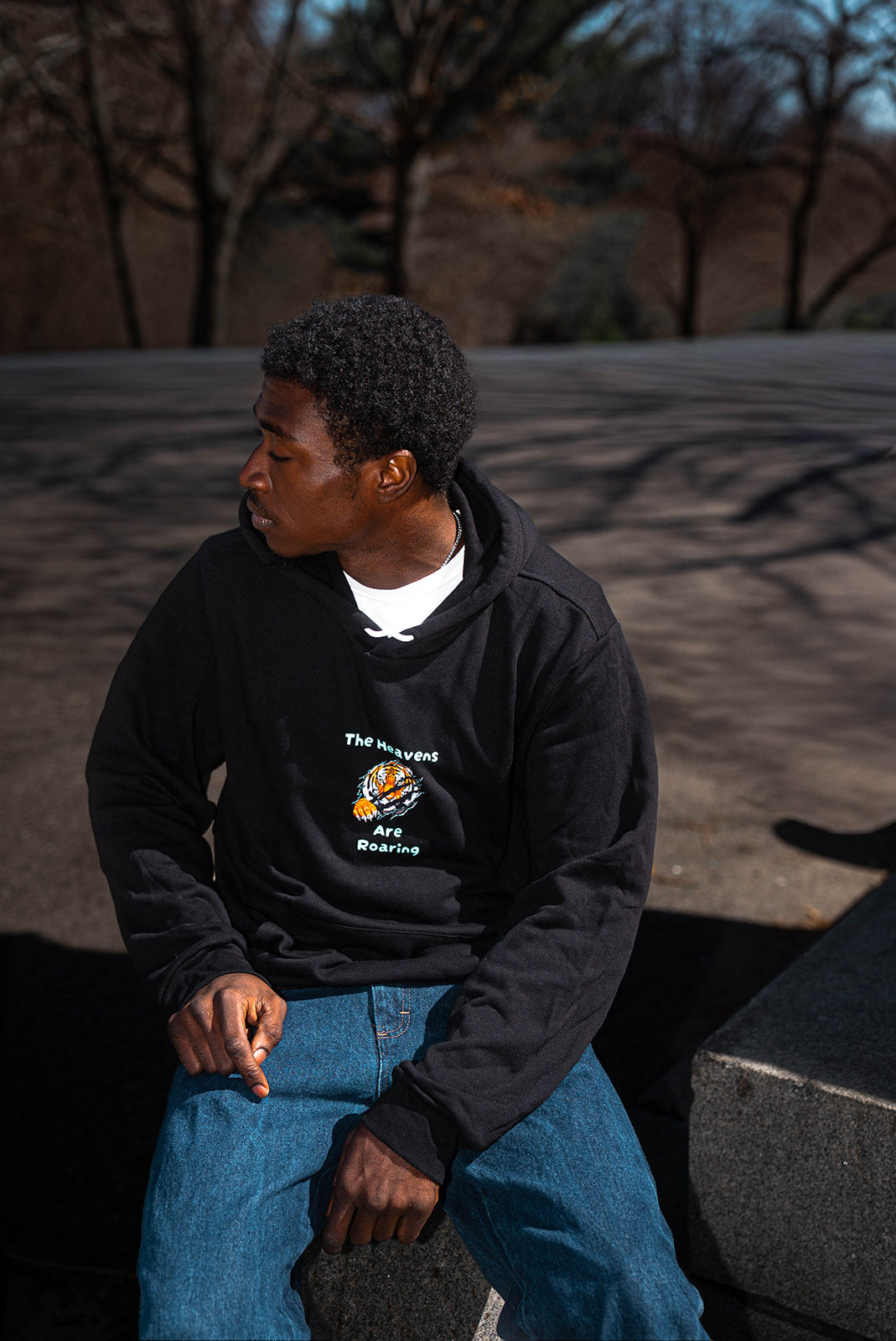 Blessings Heaven Roaring